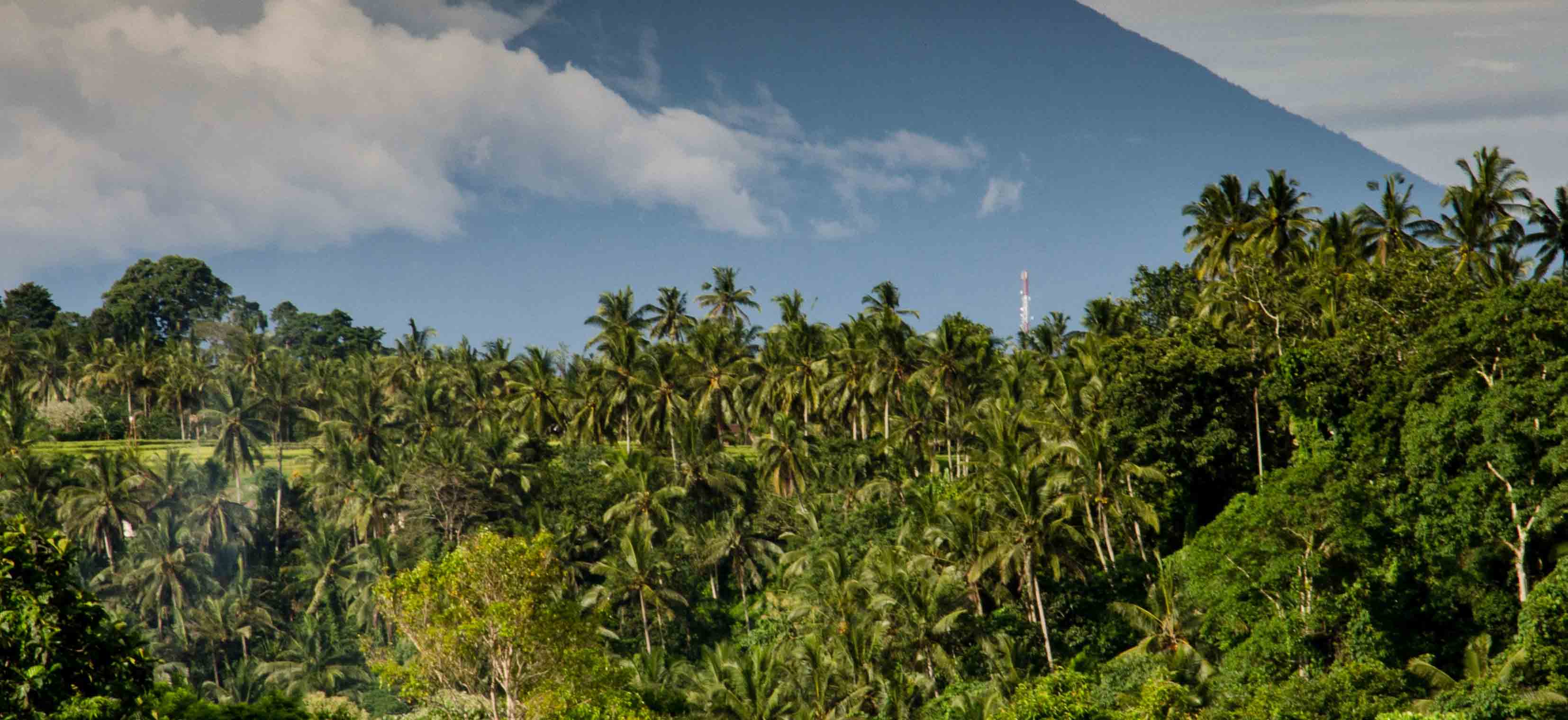 Bild Traumhaft: Auslandssemester auf Bali